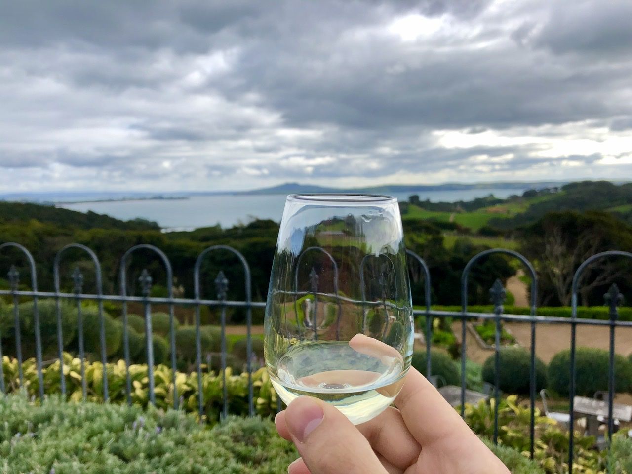 Wine on Waiheke Island