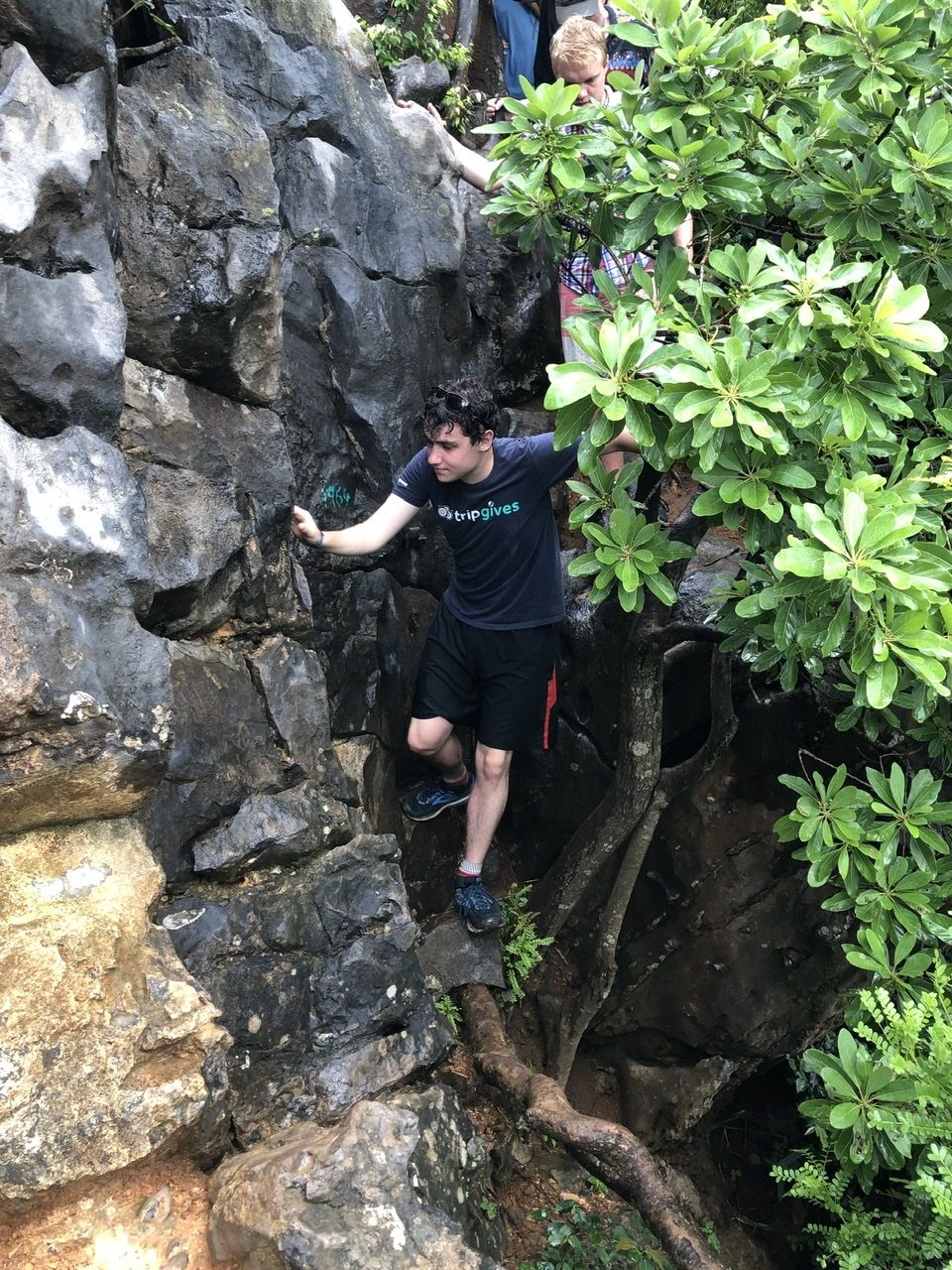 Crossing a tree branch on Monkey Island