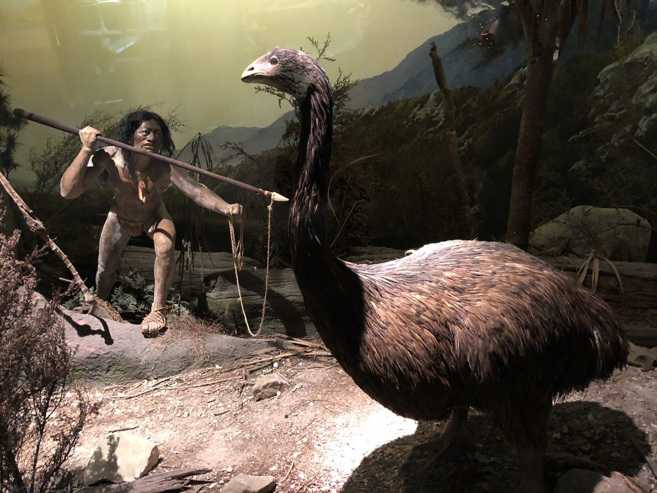 Exhibit at the Canterbury Museum