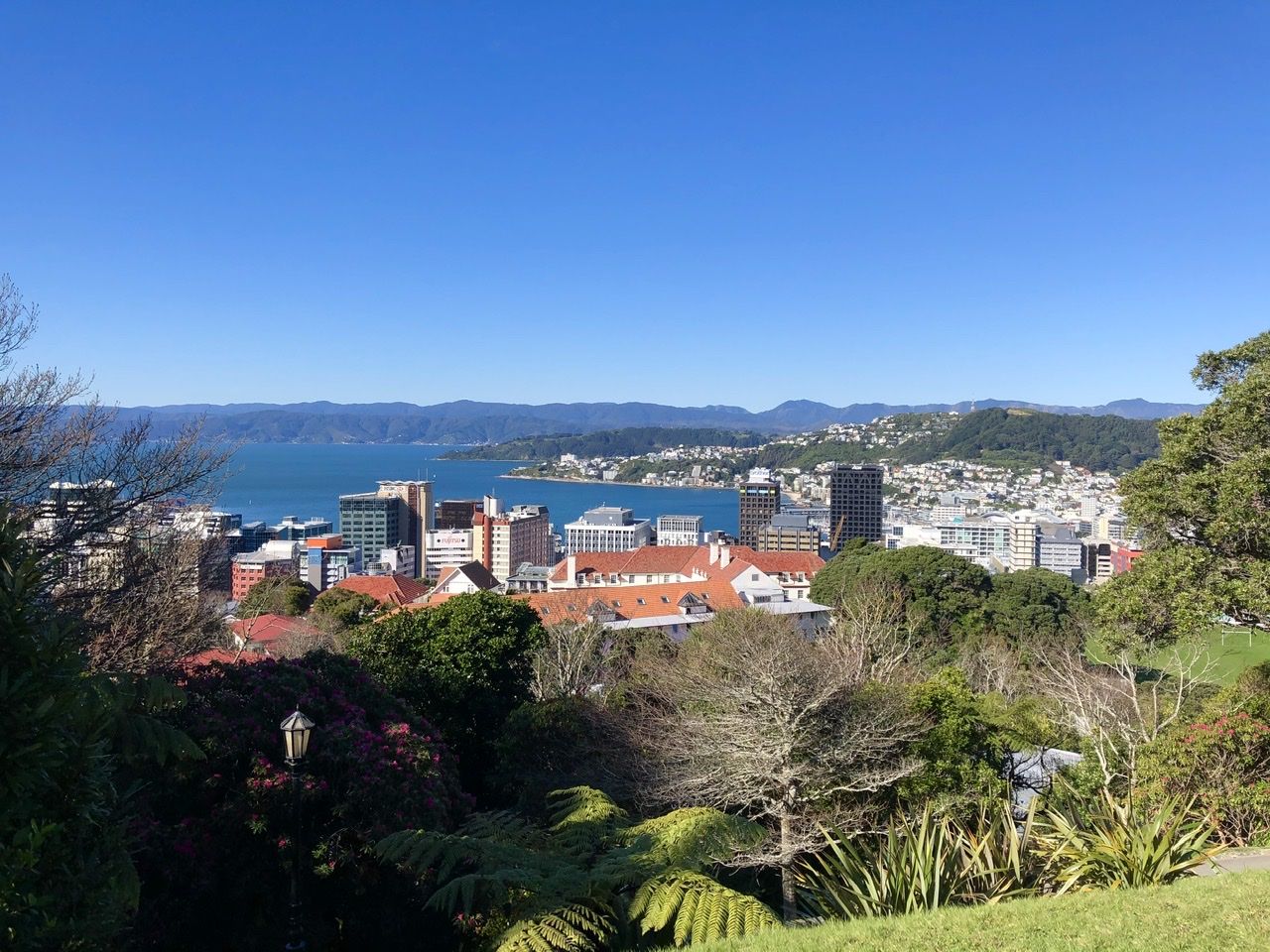 View from the top of the cable car