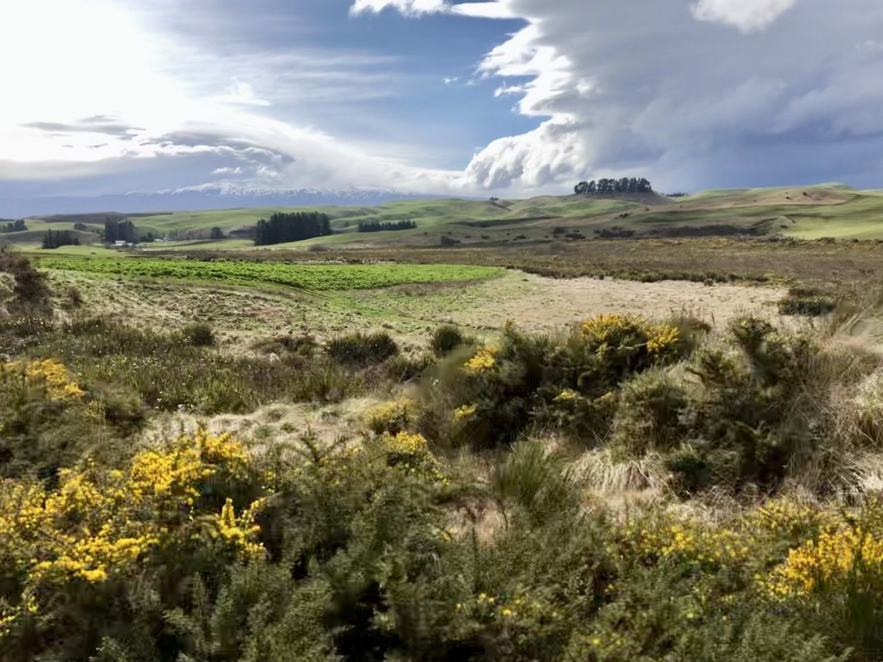 North Island countryside